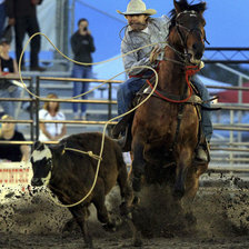 Схема вышивки «родео»