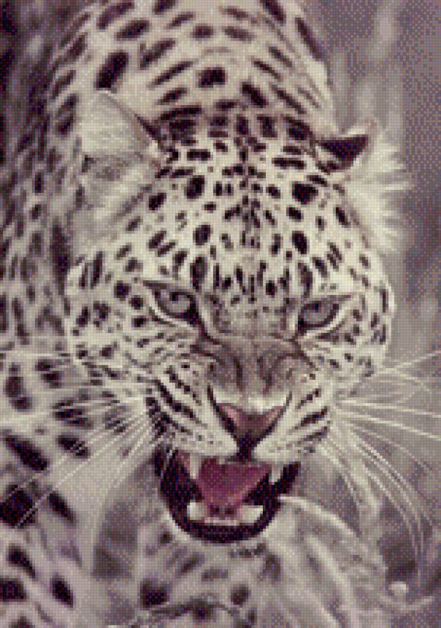 №834692 - предпросмотр