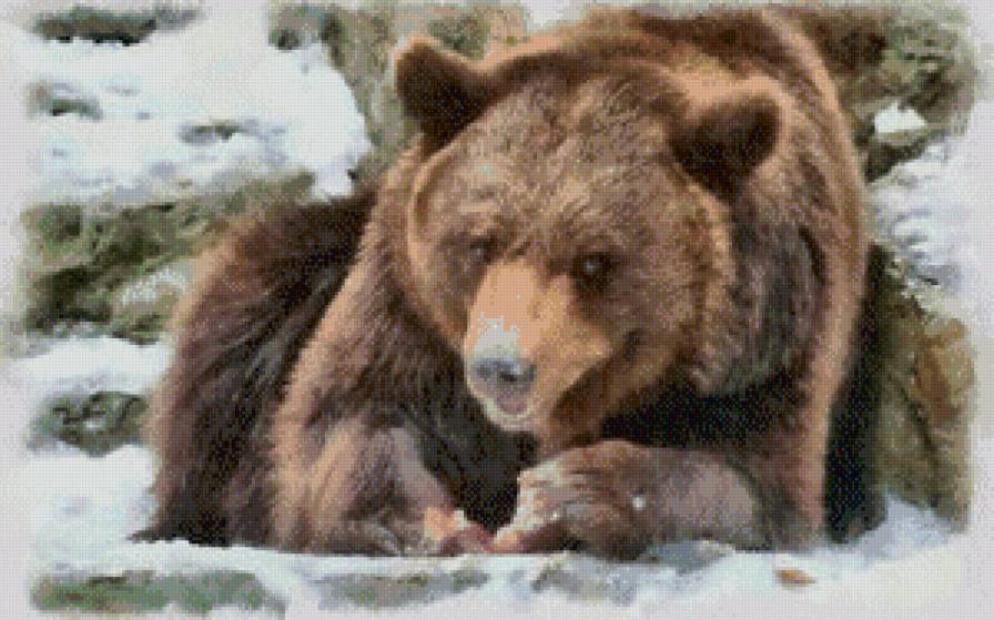 отдых - жывотные - предпросмотр