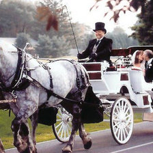 Схема вышивки «пара»