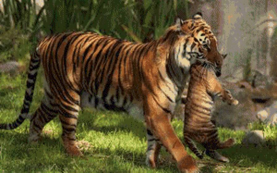 симья - жывотные - предпросмотр