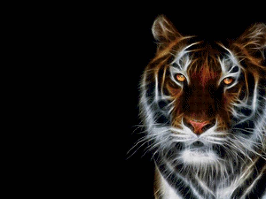 тигр - предпросмотр