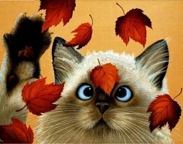 рыжий листик  и  котёнок - кошки - оригинал