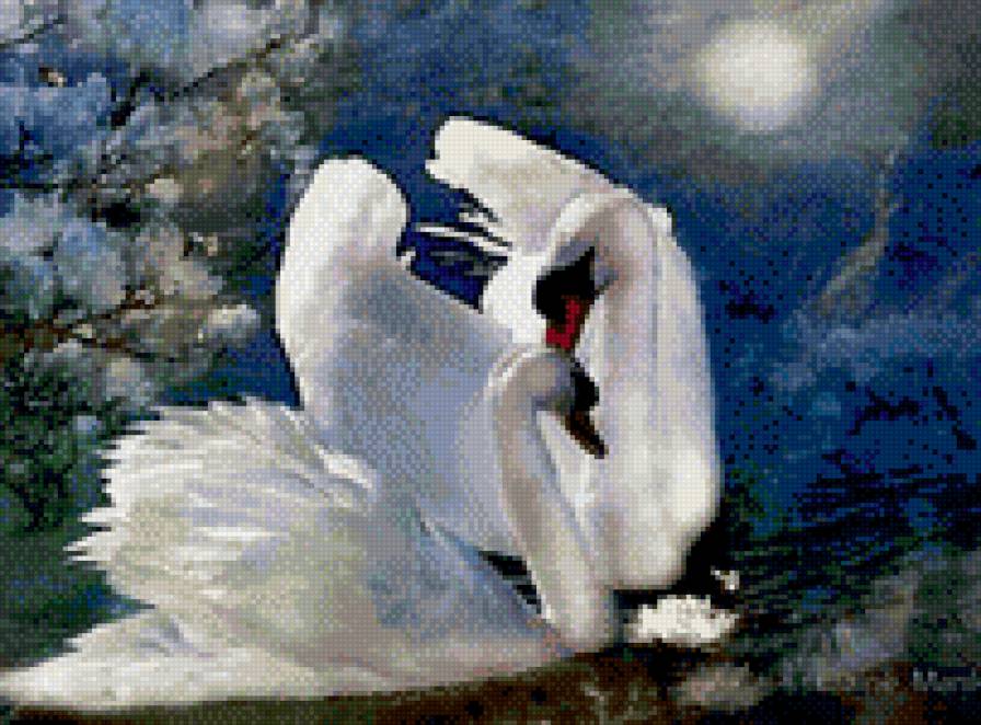 любовь - лебеди, нежность, любовь, романтика, птицы - предпросмотр