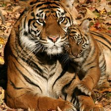 Схема вышивки «симья»