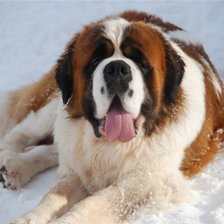 Схема вышивки «собаки»