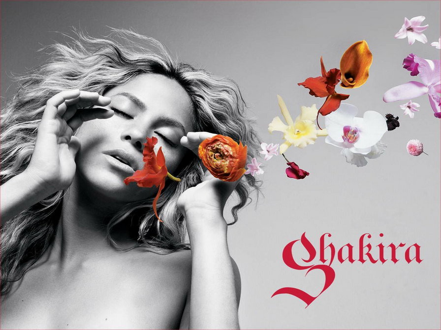 Shakira2 - музыка, shakira, шакира - оригинал