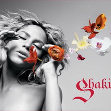 Схема вышивки «Shakira2»
