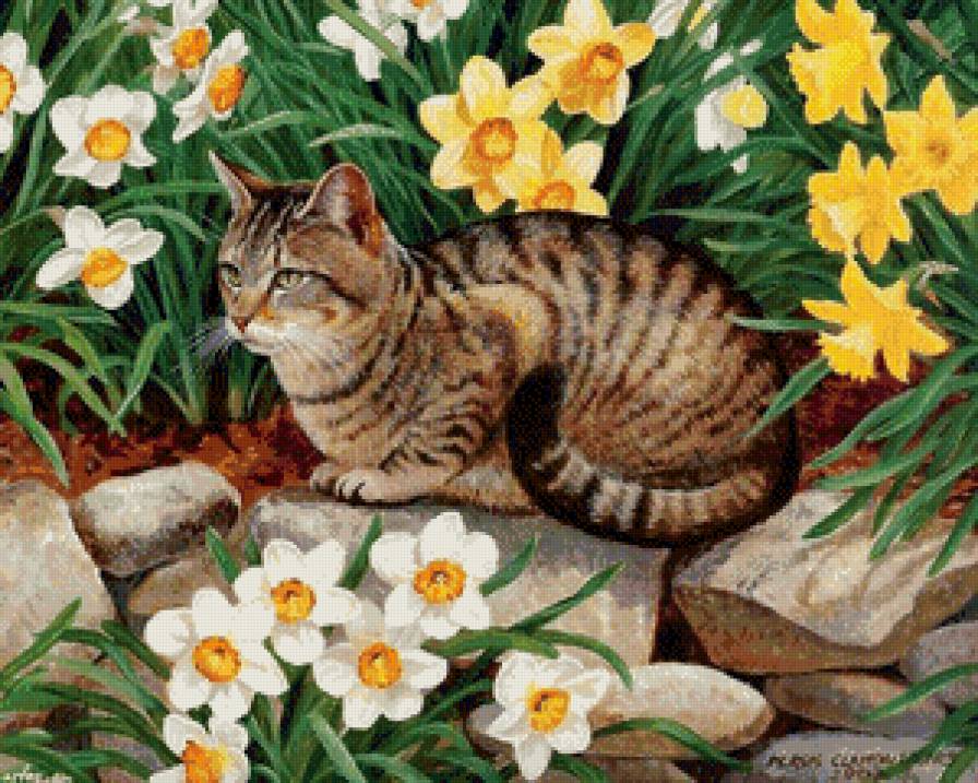 умиротворение - котики, коты, кот - предпросмотр