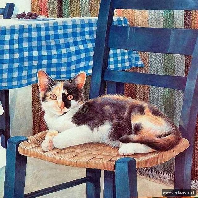 на любимом месте - котики, кот, коты - оригинал