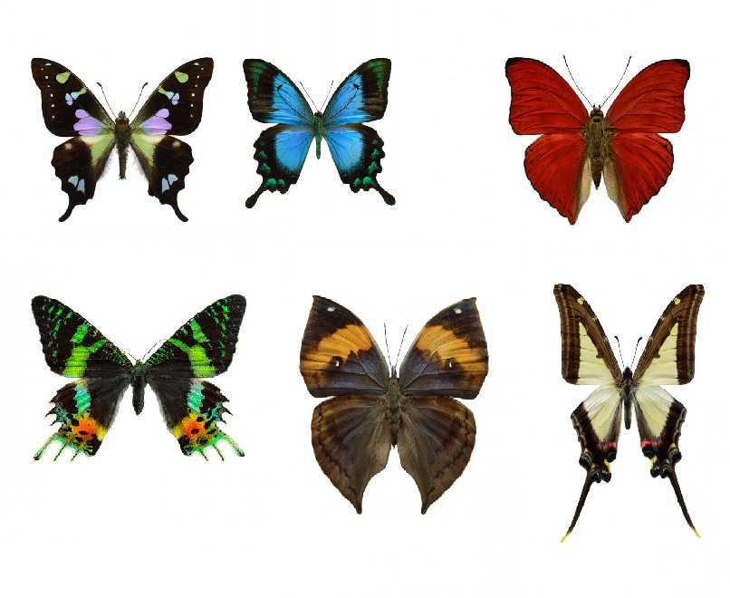 бабочки - бабочки, мини вышивка - оригинал