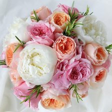 Схема вышивки «пионы свадебные»