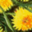 Предпросмотр схемы вышивки «одуванчики» (№835937)