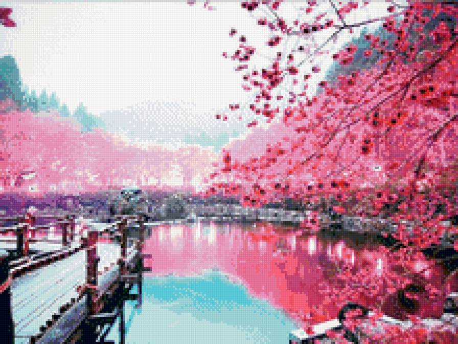 сакура - сакура - предпросмотр