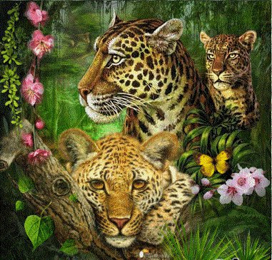 хищные кошки - животные, леопард - оригинал