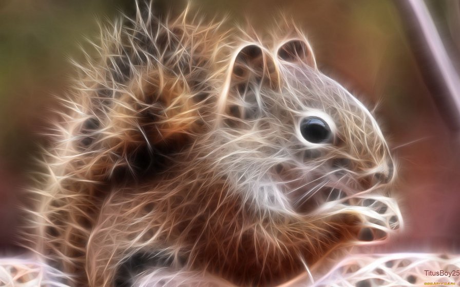 белочка - животные - оригинал