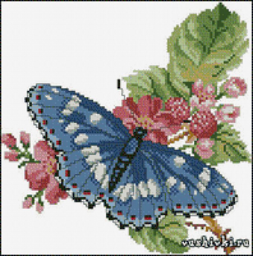 Бабочка - цветок, бабочка - предпросмотр