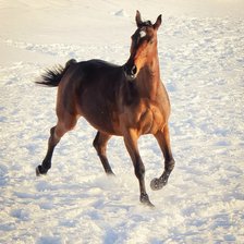 Схема вышивки «Повесть1»