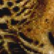 Предпросмотр схемы вышивки «Леопард в листьях» (№836219)