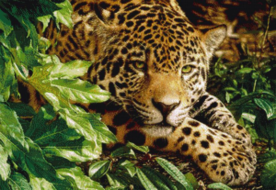 Леопард в листьях - предпросмотр