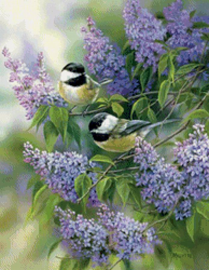 синички на сирени - птицы, цветы - предпросмотр
