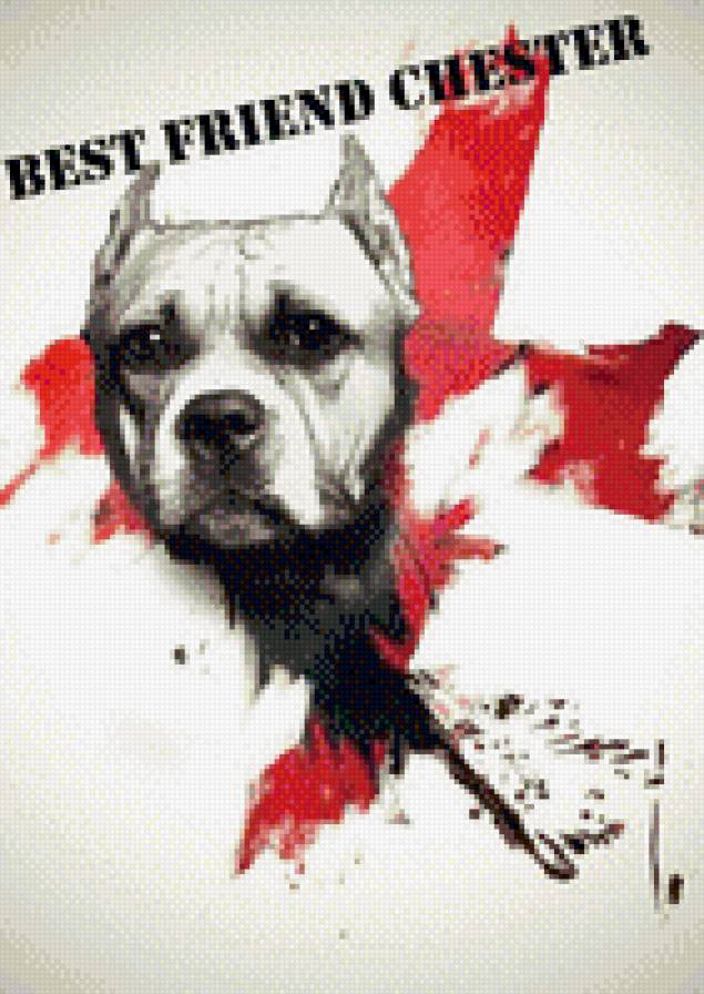 №836260 - предпросмотр