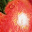 Предпросмотр схемы вышивки «Яблочки. Для кухни.» (№836396)