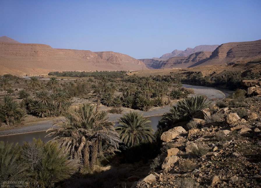 природа - природа - оригинал