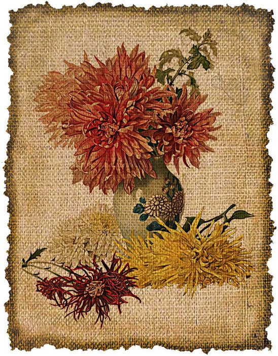 хризантема на мешке - оригинал