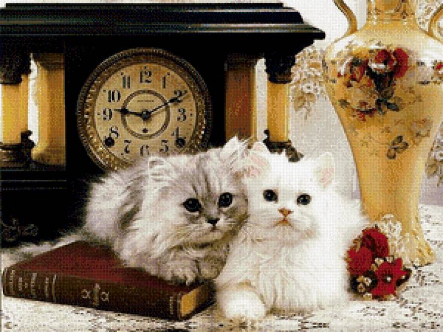 кошки - жывотные - предпросмотр