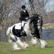 Схема вышивки «лошади»