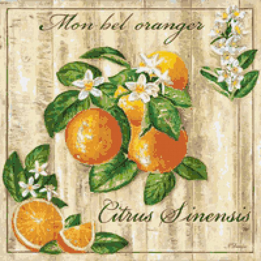 №836667 - предпросмотр