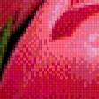 Предпросмотр схемы вышивки «тюльпаны красные» (№836883)