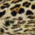 Предпросмотр схемы вышивки «хищники» (№836905)