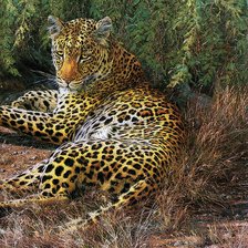 Схема вышивки «хищники»