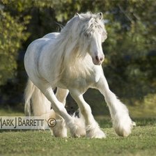 Схема вышивки «лошади»