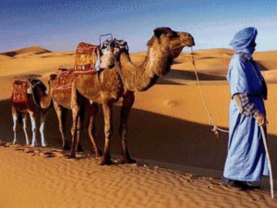бедуин - люди жывотные - предпросмотр