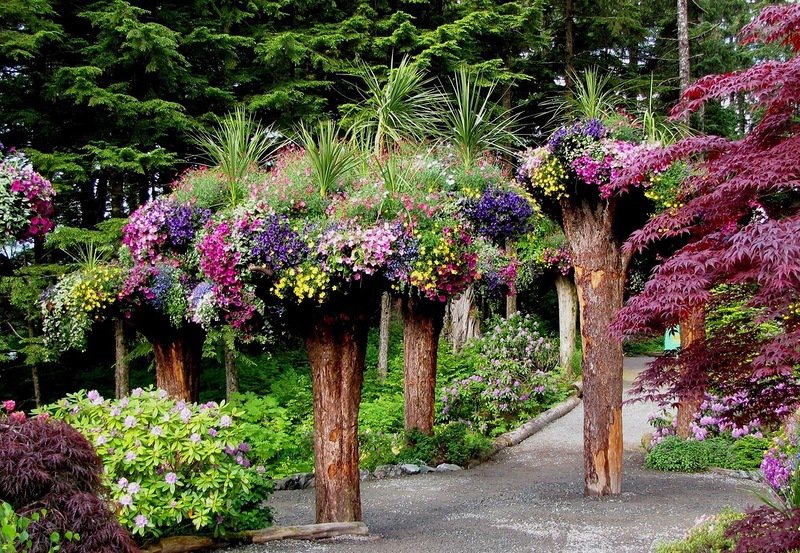 цветы - ростение - оригинал