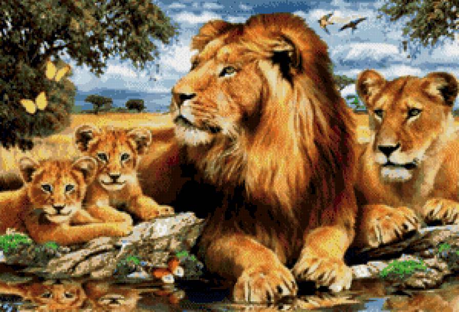 симья - жывотные - предпросмотр