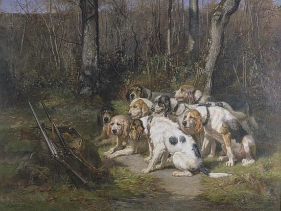 собаки - охота - оригинал