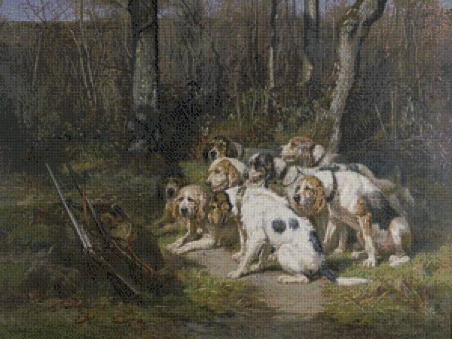 собаки - охота - предпросмотр