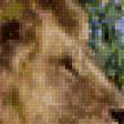 Предпросмотр схемы вышивки «савана» (№837026)