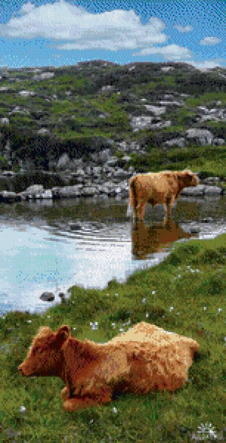 водопой - жывотные - предпросмотр