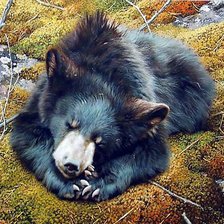 Схема вышивки «мишки сон»