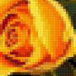 Предпросмотр схемы вышивки «Розы желтые» (№837039)