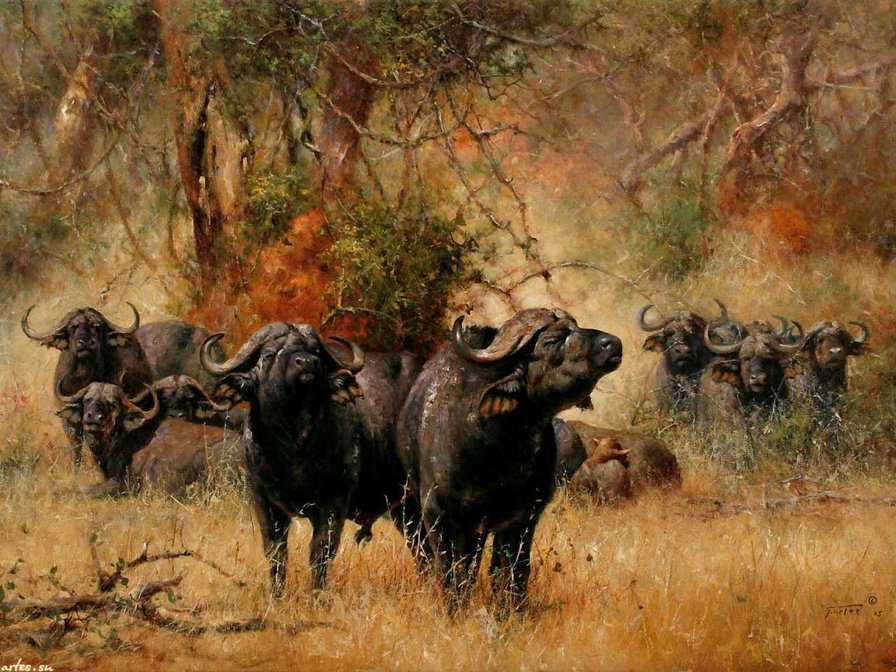 стадо - жывотные - оригинал