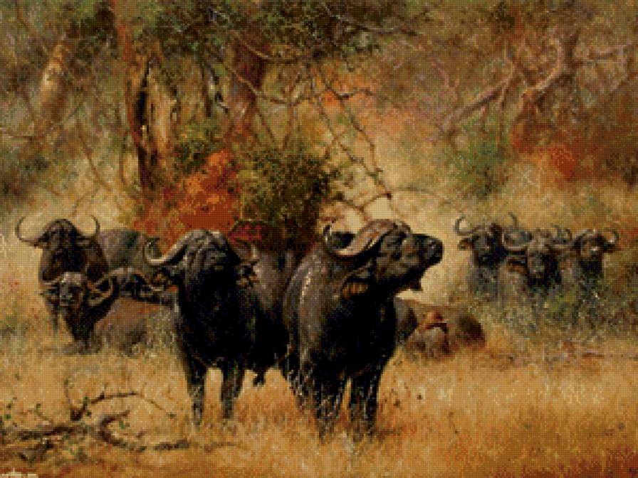 стадо - жывотные - предпросмотр