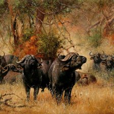 Схема вышивки «стадо»