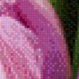Предпросмотр схемы вышивки «тюльпаны» (№837239)