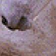 Предпросмотр схемы вышивки «лошади» (№837307)